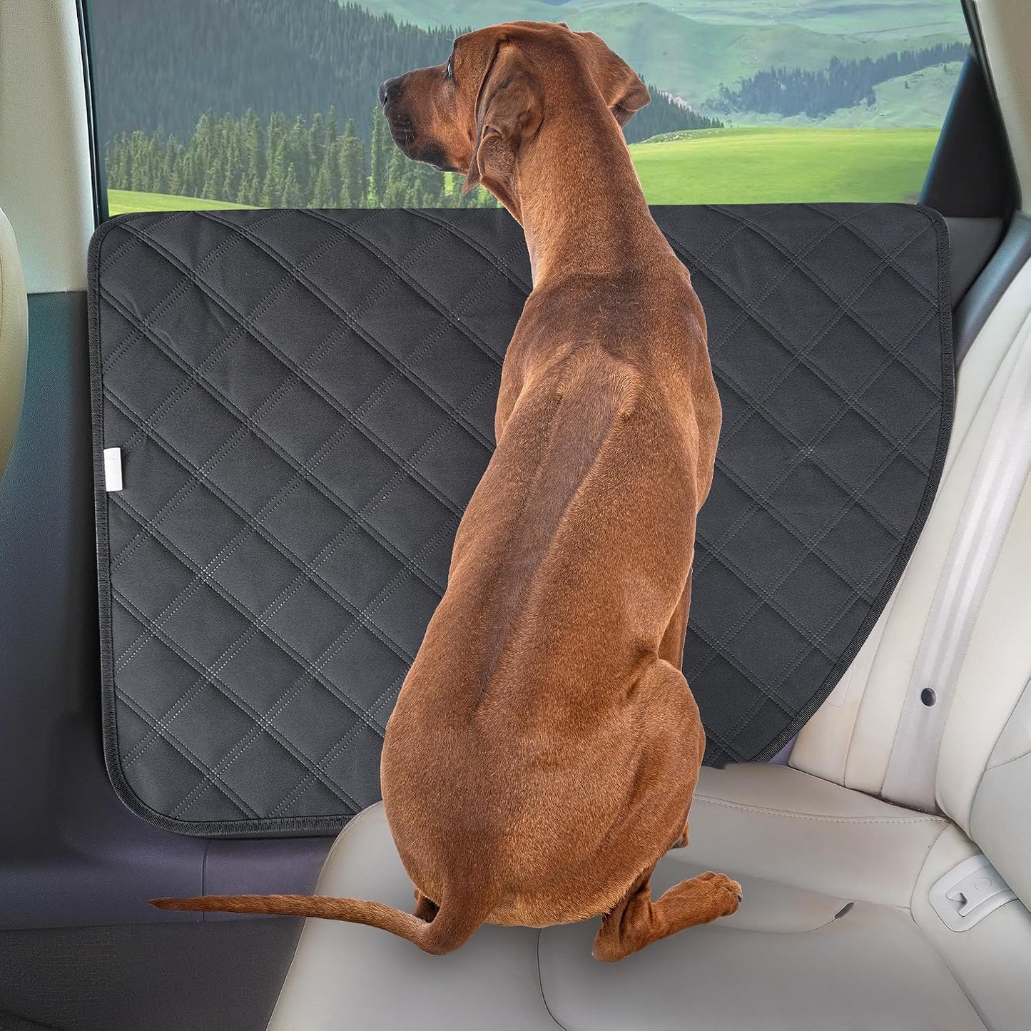 Dog Car Door Protectors, 2-Pack – Waterproof 900D Oxford Scratch Guards, 29 × 22 in