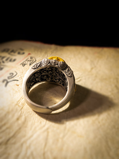 Protective Energy Dzi Silver Tibetan Treasures Rings